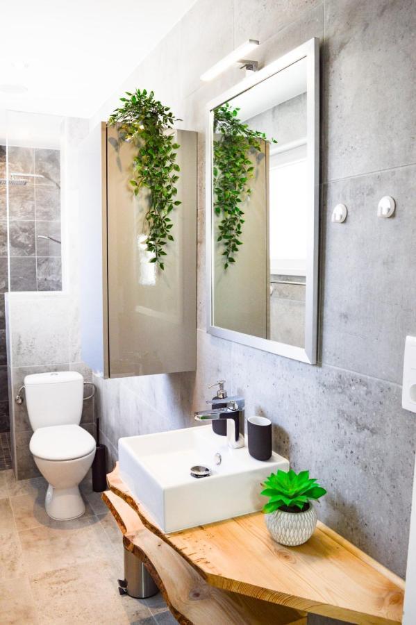 Le Blue St Leon : 2 Pieces Cozy Lit King Size Wifi Apartment Колмар Екстериор снимка