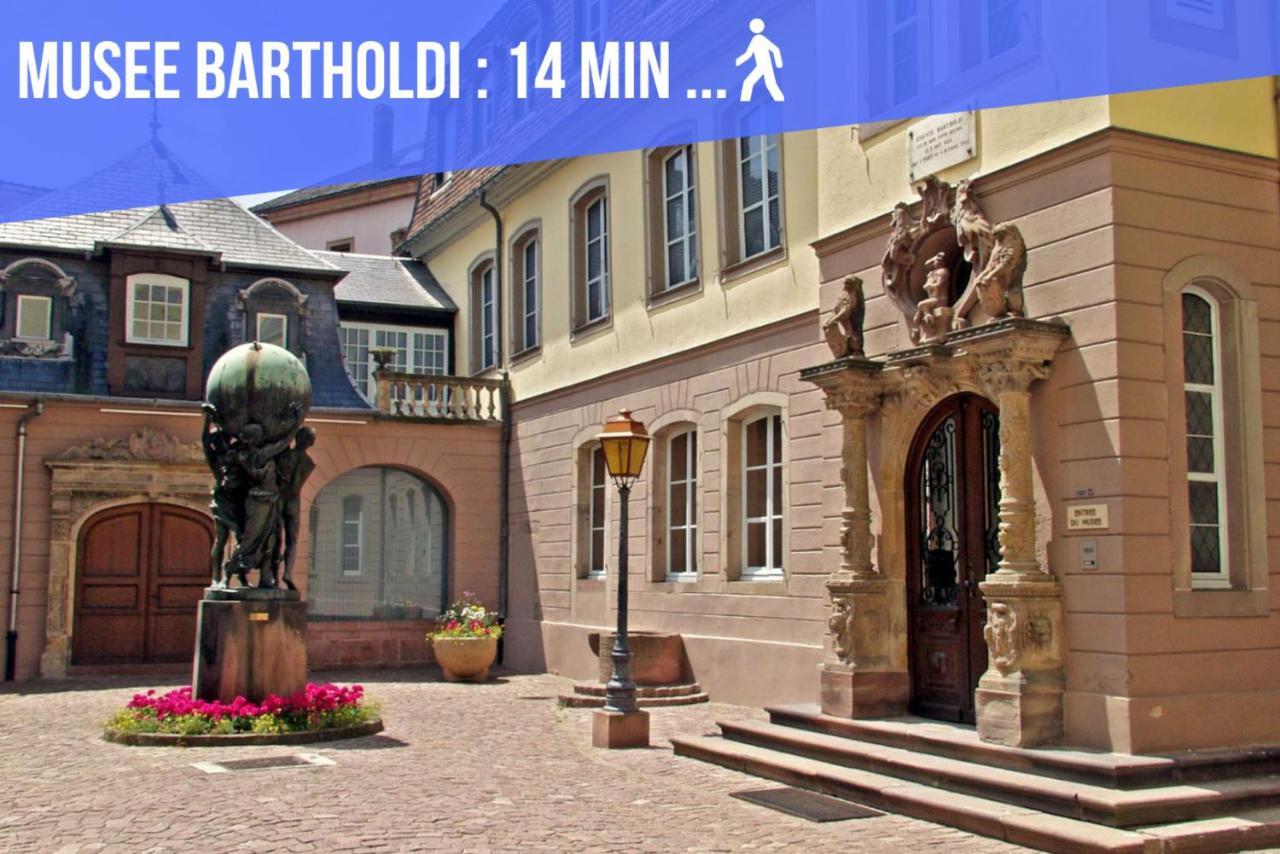 Le Blue St Leon : 2 Pieces Cozy Lit King Size Wifi Apartment Колмар Екстериор снимка