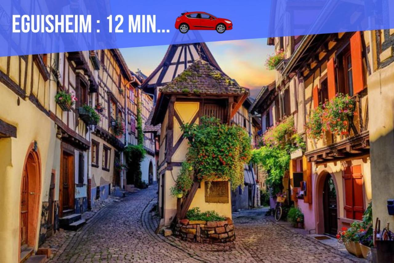 Le Blue St Leon : 2 Pieces Cozy Lit King Size Wifi Apartment Колмар Екстериор снимка