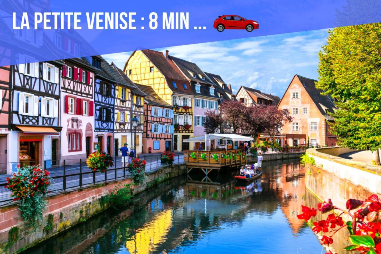 Le Blue St Leon : 2 Pieces Cozy Lit King Size Wifi Apartment Колмар Екстериор снимка
