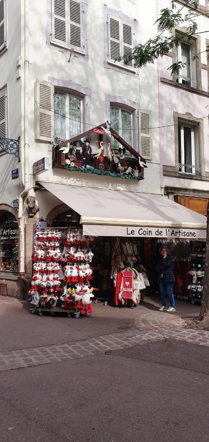Le Blue St Leon : 2 Pieces Cozy Lit King Size Wifi Apartment Колмар Екстериор снимка