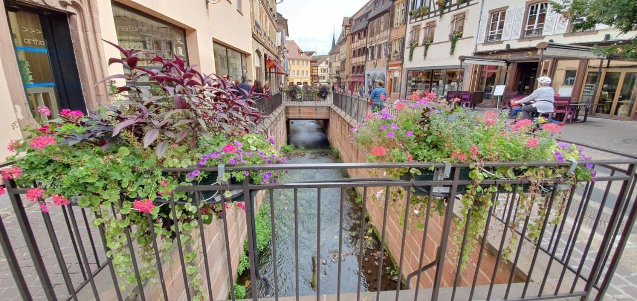Le Blue St Leon : 2 Pieces Cozy Lit King Size Wifi Apartment Колмар Екстериор снимка