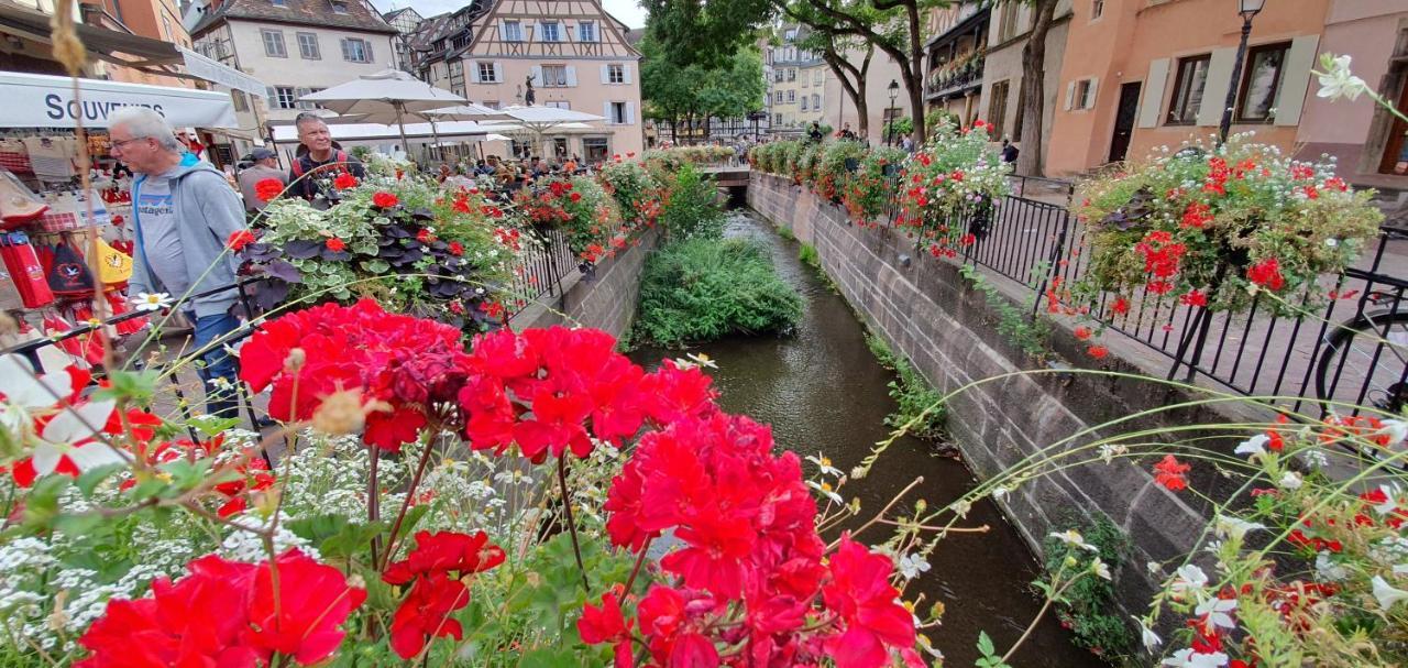 Le Blue St Leon : 2 Pieces Cozy Lit King Size Wifi Apartment Колмар Екстериор снимка