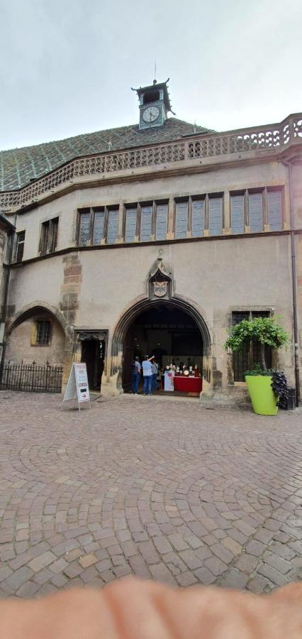 Le Blue St Leon : 2 Pieces Cozy Lit King Size Wifi Apartment Колмар Екстериор снимка
