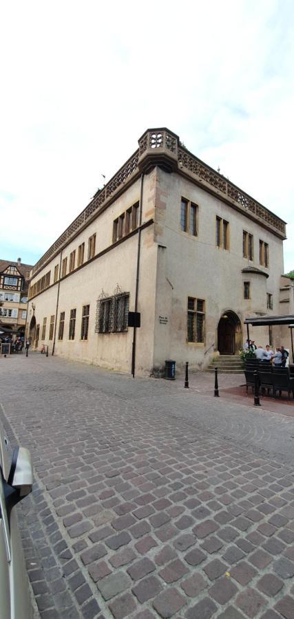 Le Blue St Leon : 2 Pieces Cozy Lit King Size Wifi Apartment Колмар Екстериор снимка