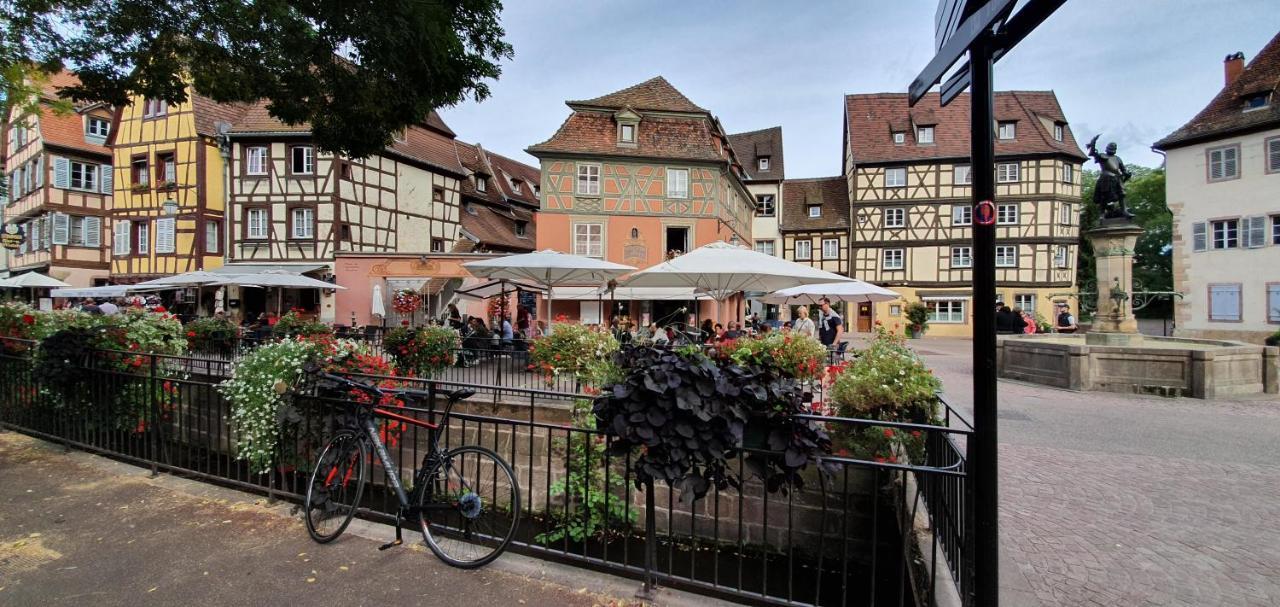 Le Blue St Leon : 2 Pieces Cozy Lit King Size Wifi Apartment Колмар Екстериор снимка
